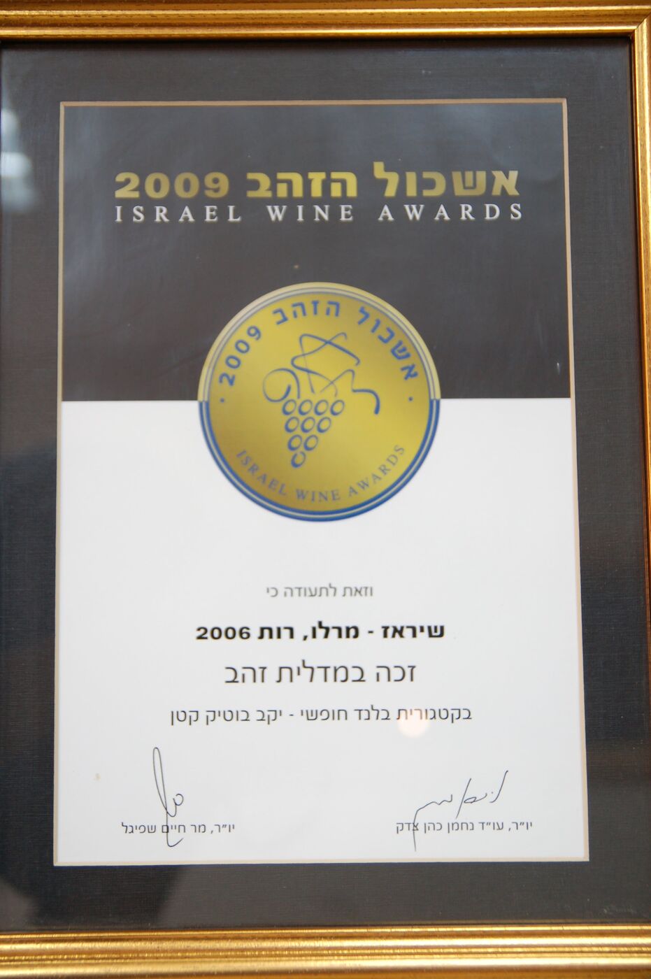 תעודת מדליית זהב, אשכול הזהב 2009 — שיראז-מרלו רות 2006