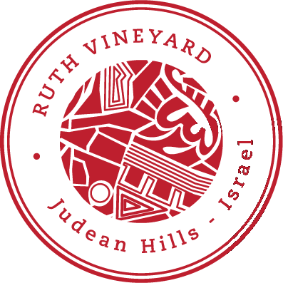 Ruth Vineyard · Judean Hills · Israel